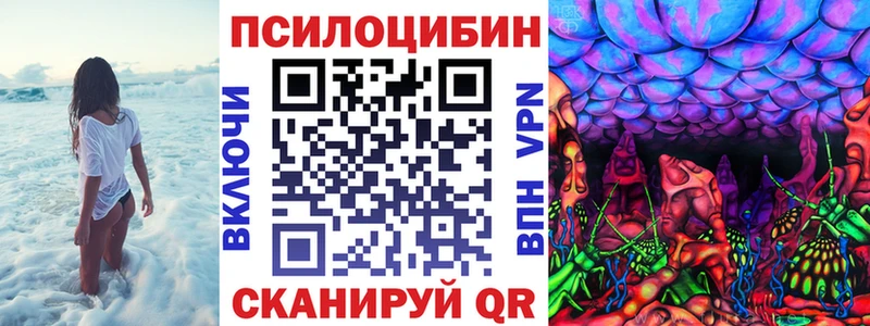 Галлюциногенные грибы Cubensis  Калининск 